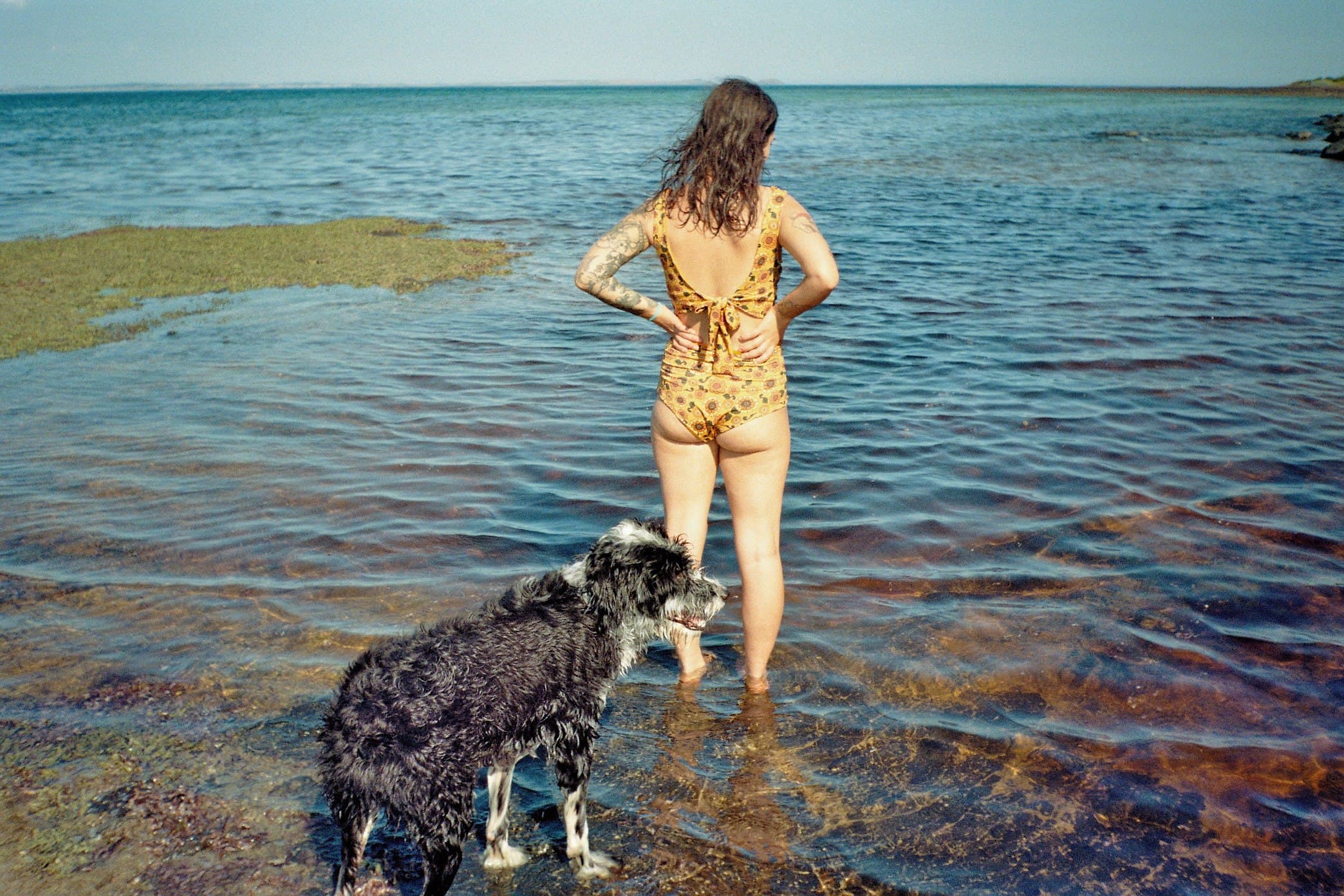A person standing on rocks beside the sea.