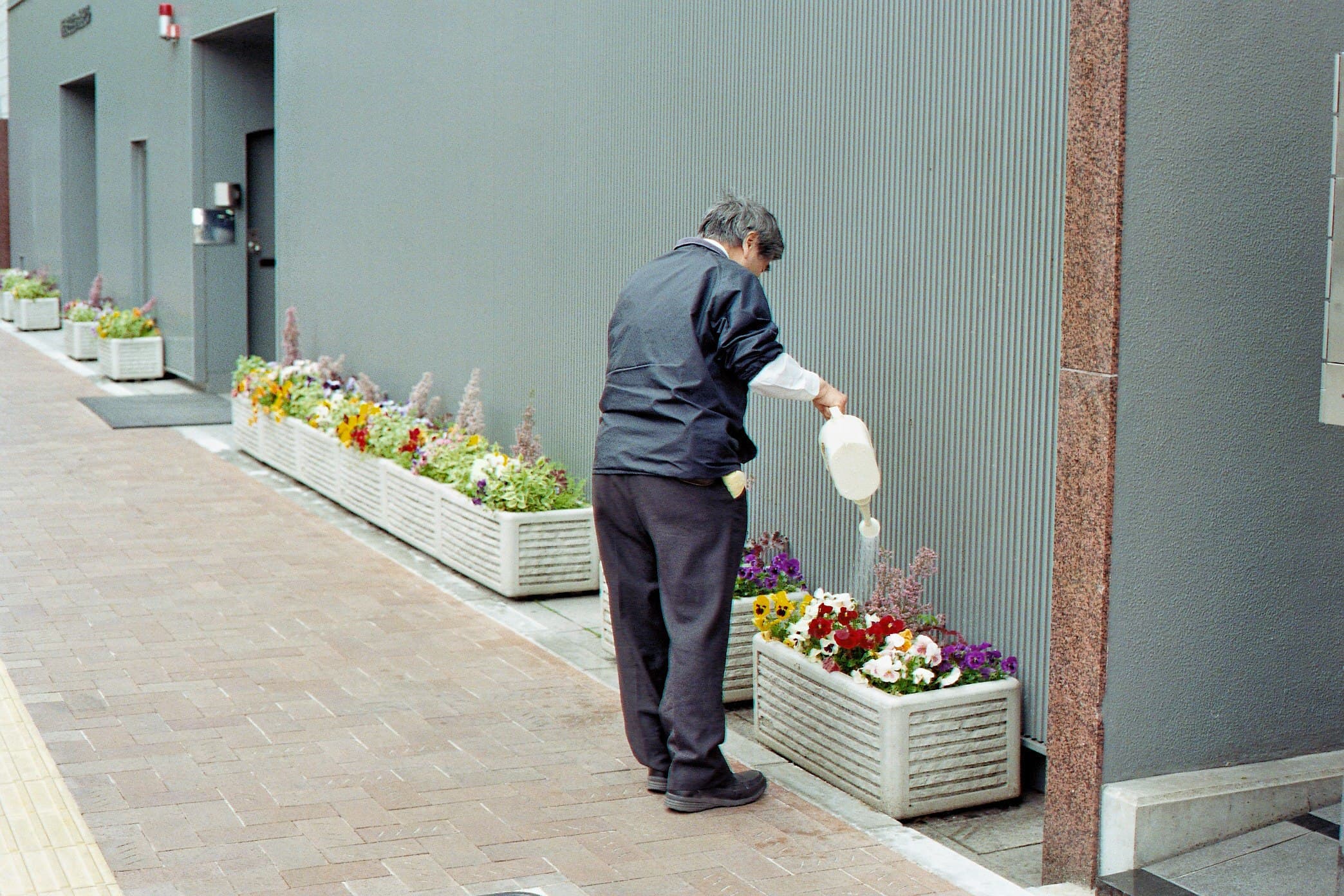 A person tending flowers outside a building.