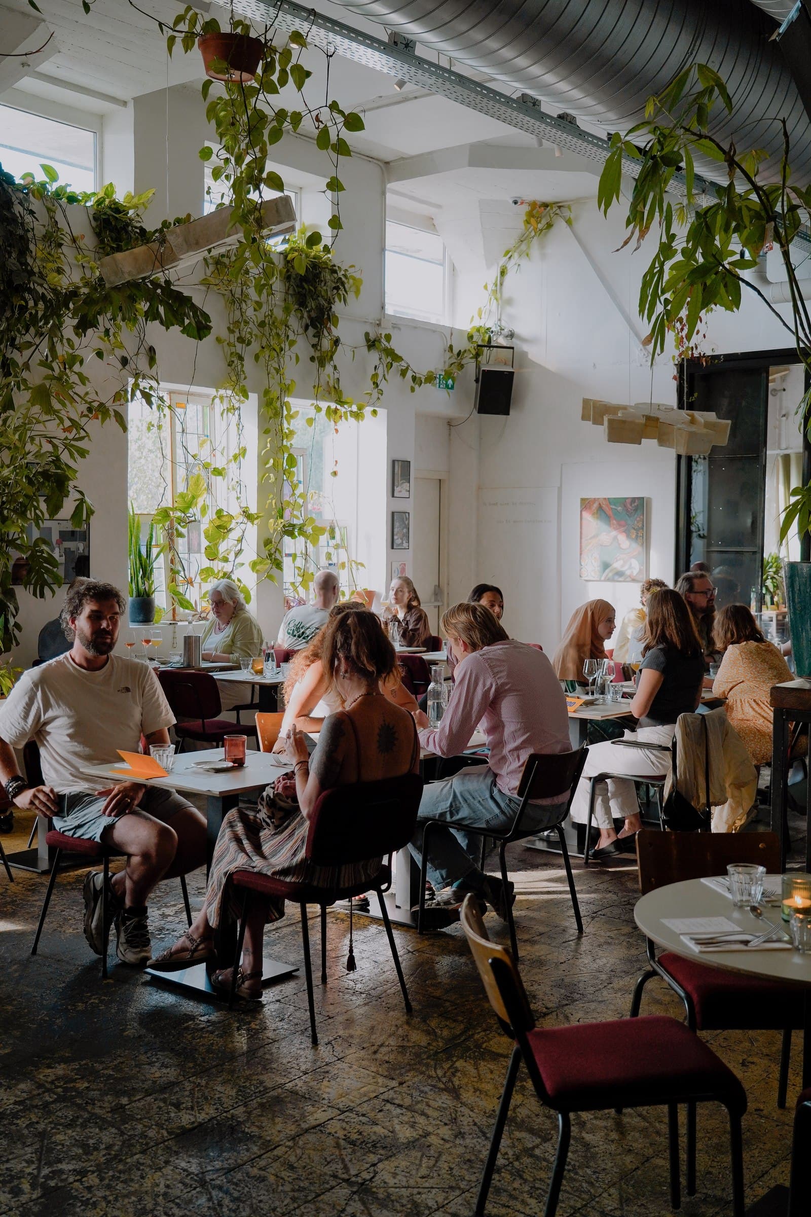 Guests seated in a bright dining room filled with hanging plants.