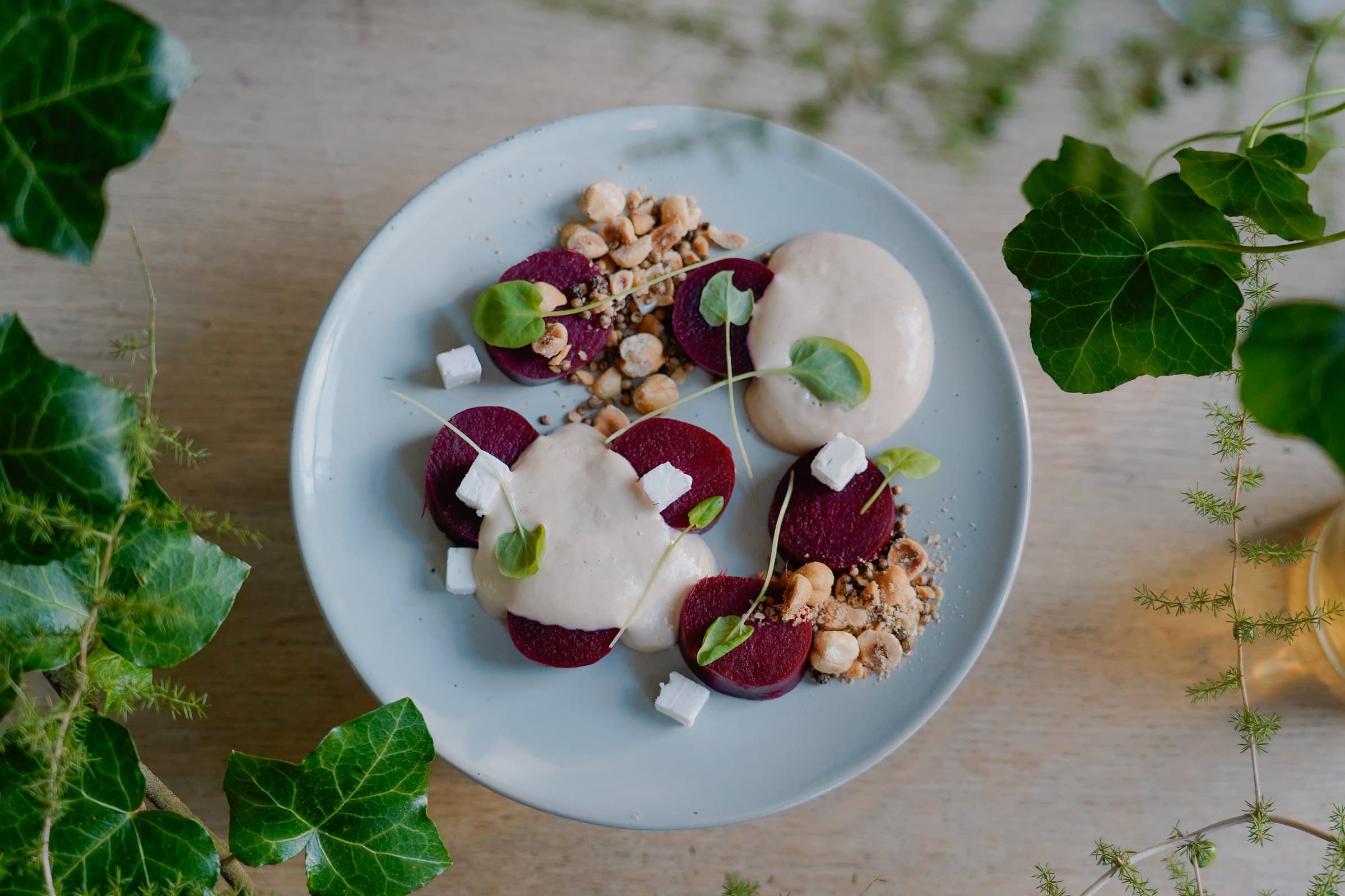 A plated dish with beetroot, pale garnishes and greens beside leafy plants.