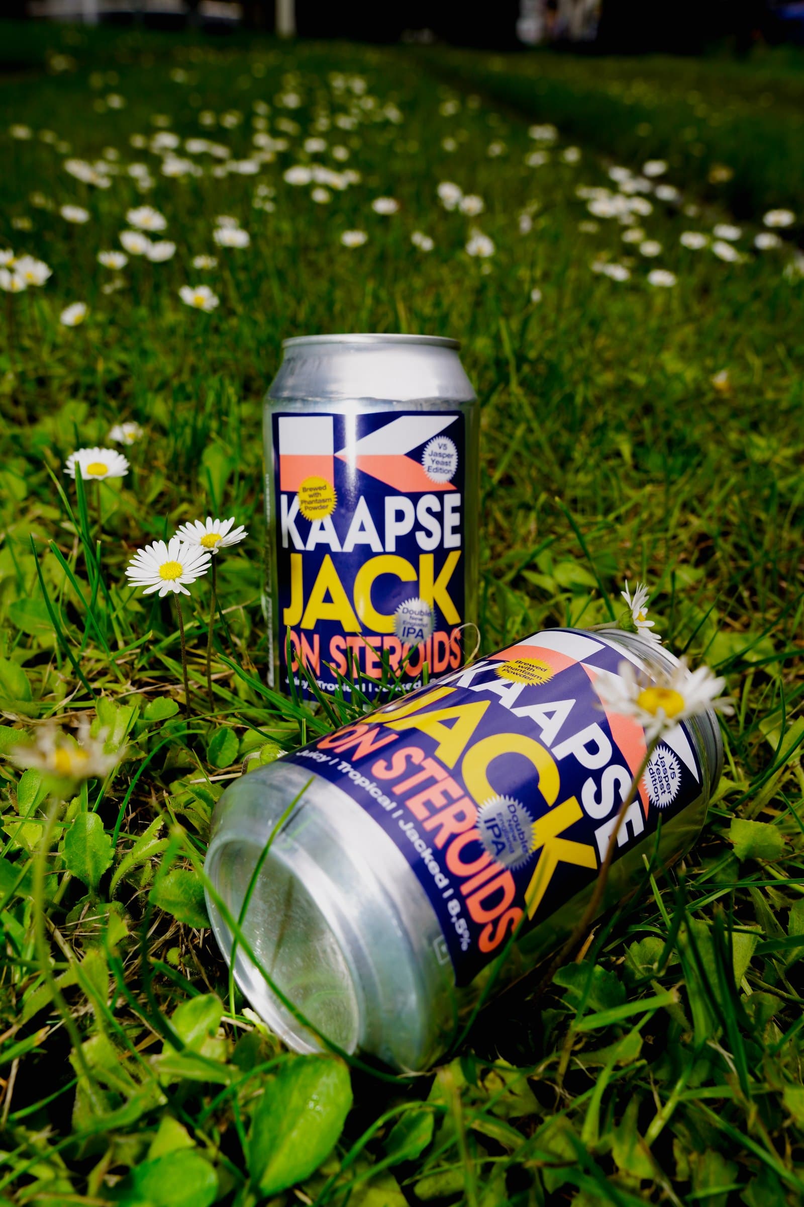 Beer cans arranged in grass among small white flowers.