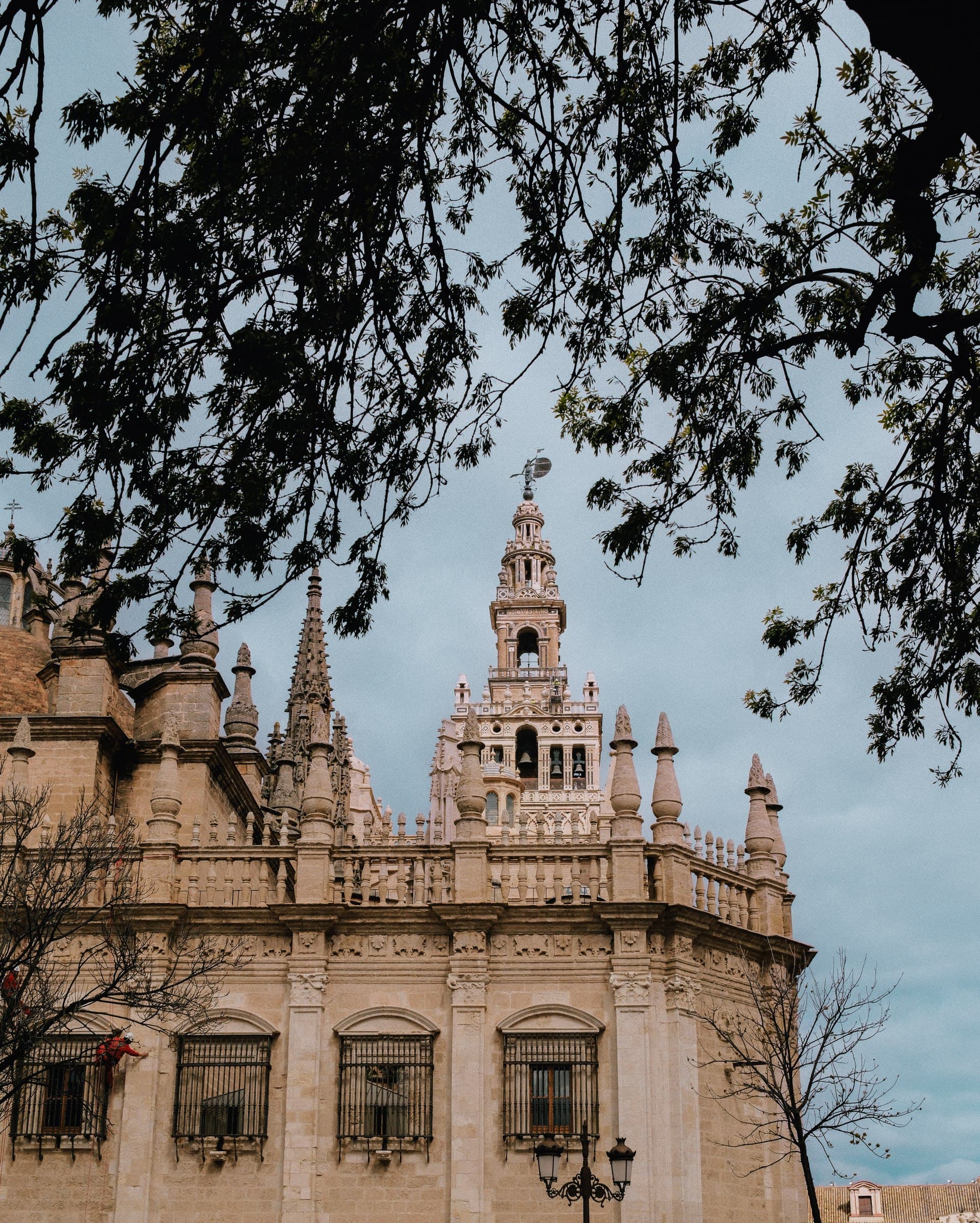 Historic stone architecture framed by tree branches.