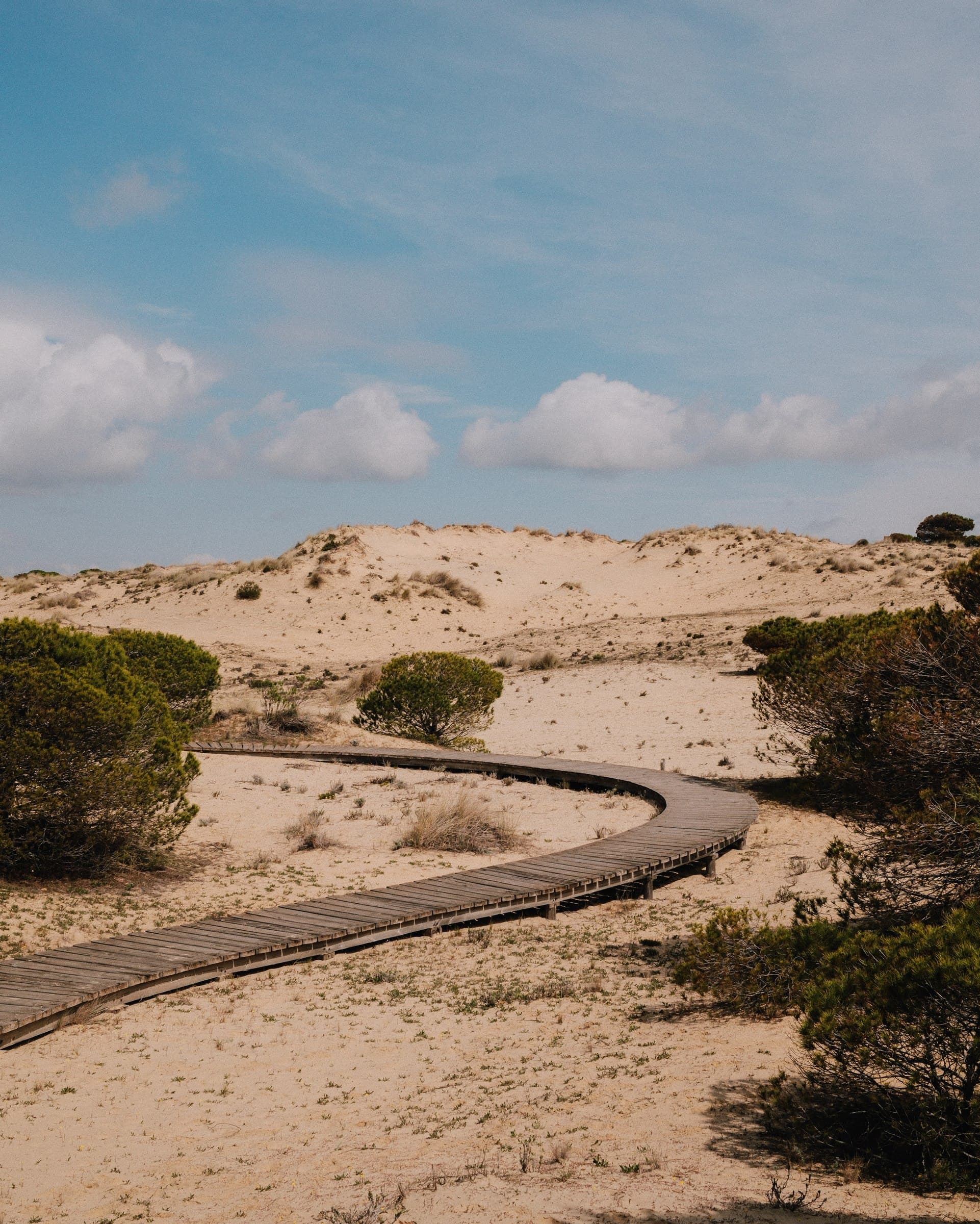 A winding boardwalk through sandy dunes.