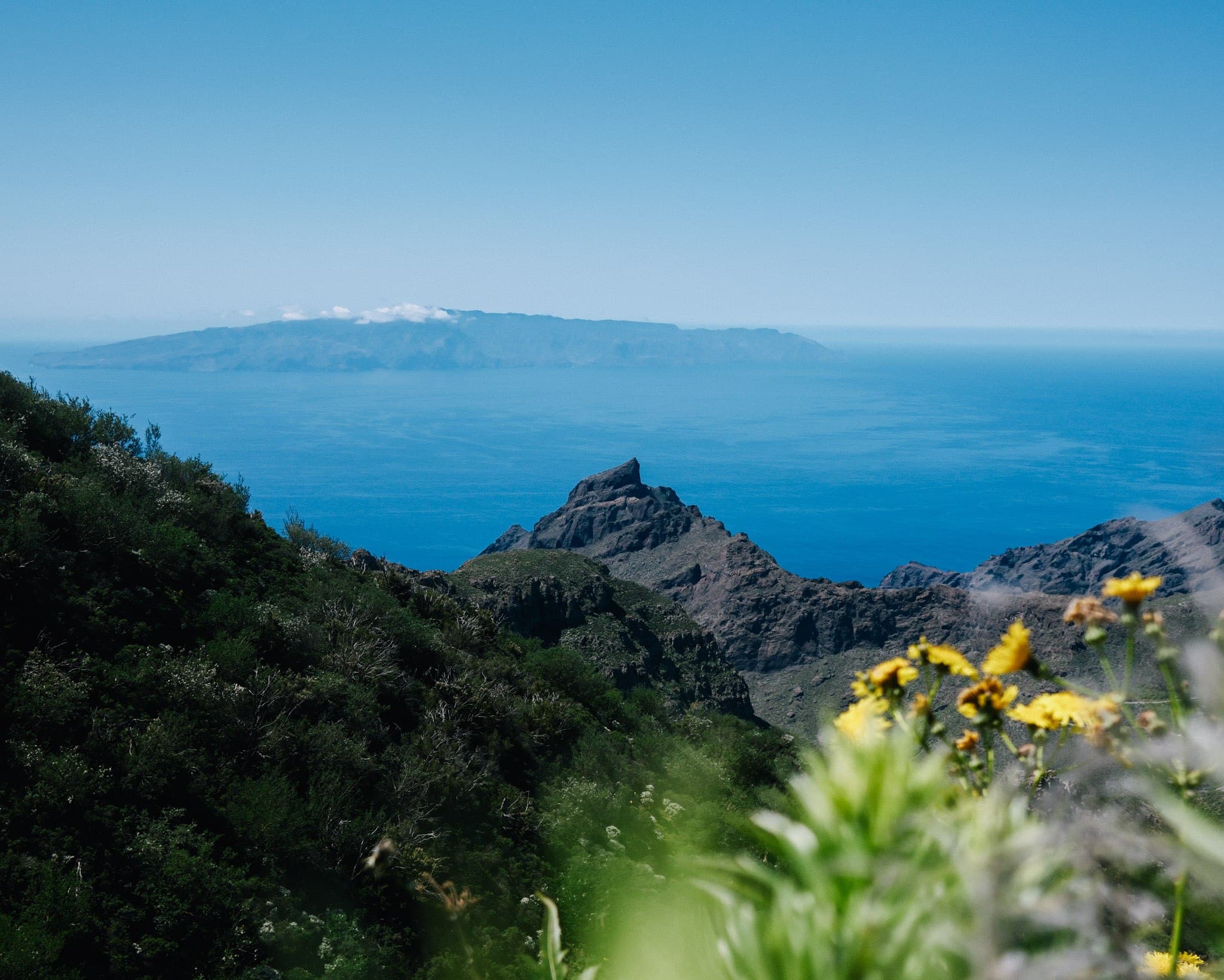 Mountain ridges and blue sea beyond foreground flowers.